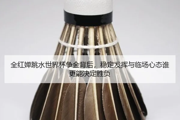 全红婵跳水世界杯争金背后，稳定发挥与临场心态谁更能决定胜负
